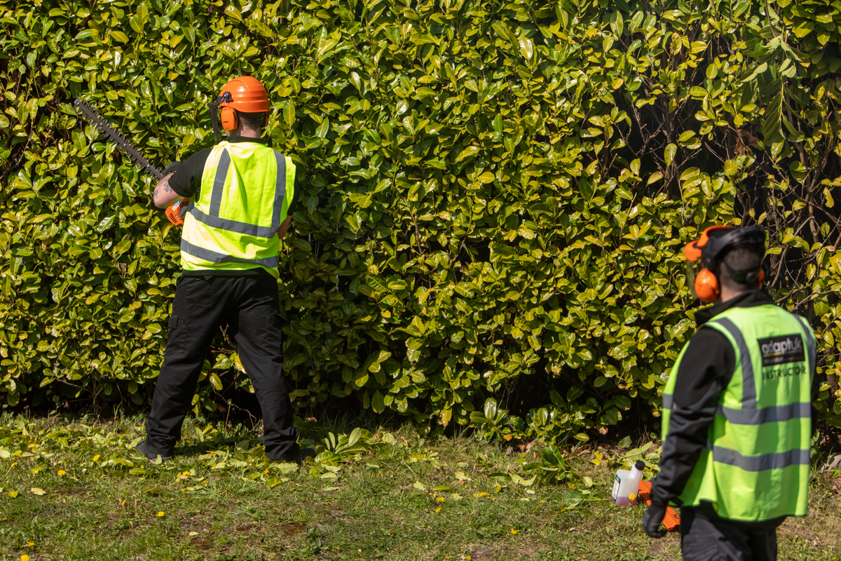 Hand-held Hedge Trimmer