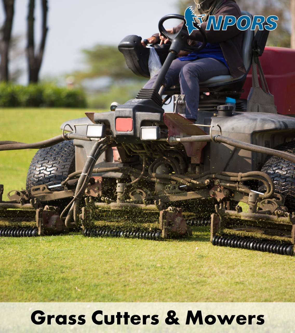 Grass Cutter & Lawn Mower
